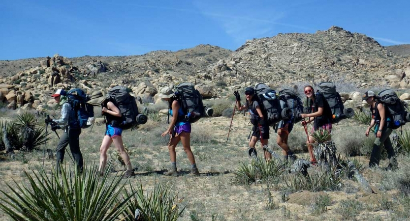 a group of backpackers hike in a single file line through a desert landscape. 